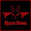 Logo of the association FF-SPORT-TEAM